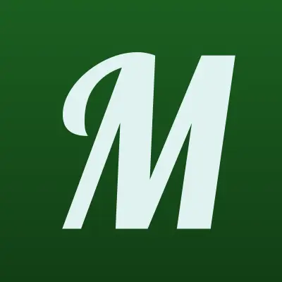 МегаФон, лого-визитка